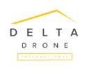 Delta Drone International logo